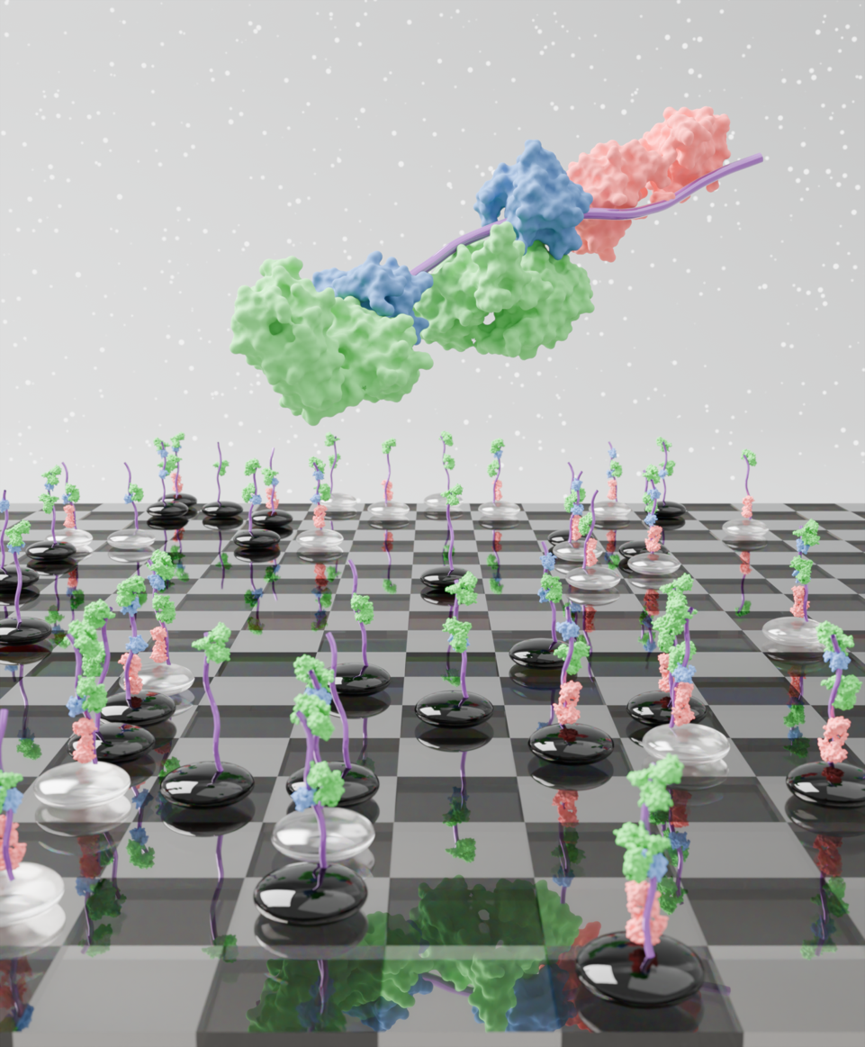 CELL-REPORTS-D-25-02770R2_Hennig